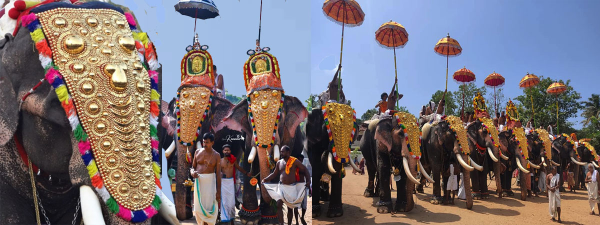 Kerala Temple festival, elephants, dental vacation India
